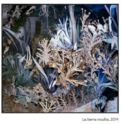 Imagen La tierra inculta de Miguel Ángel Tornero (Fundación ENAIRE)
